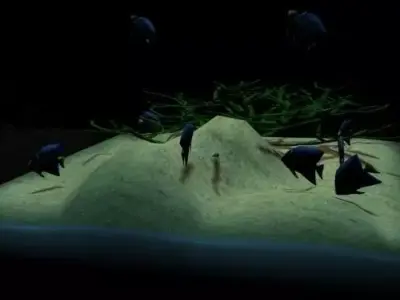Friendly Aquarium Free 3D print model