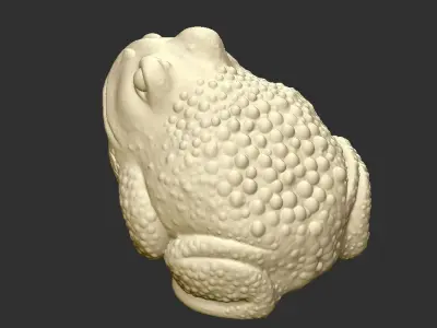 a toad frog 3D print model