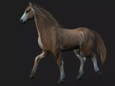 Horse A3 Free 3D model