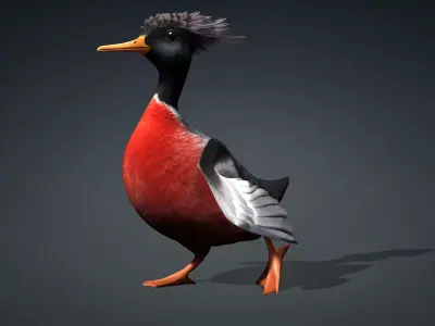 Duck-B3 3D model