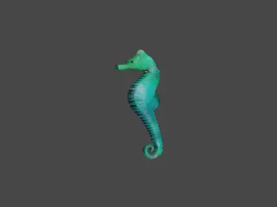 SEA HORSE  Low-poly 3D model