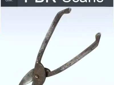 Wire Cutters Middle Poly 3D model