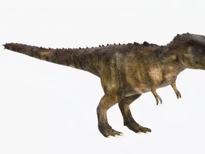 Tyrannosaurus Rex Low-poly 3D model 11