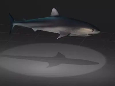 Tiger Shark Low-poly 3D model purchase