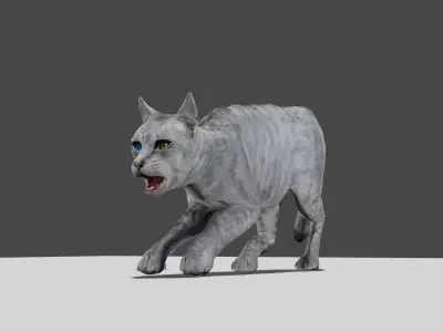 Heterochromia Cat Rigged Low-poly 3D model