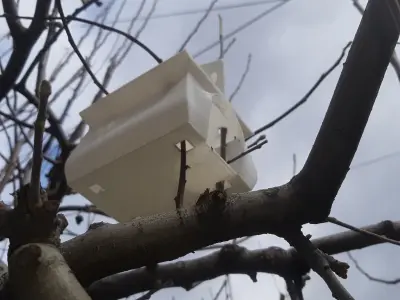 Longy Birdhouse Free 3D print model