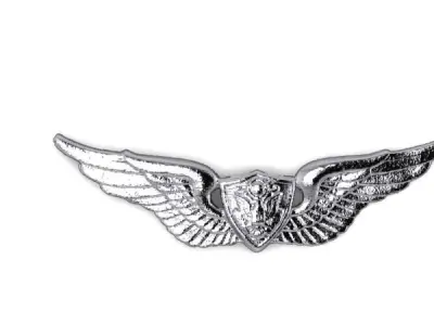 Army Aviation Aircraft Crewman Badge Miniature 3D print model