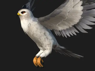 Falcon-A1 3D model