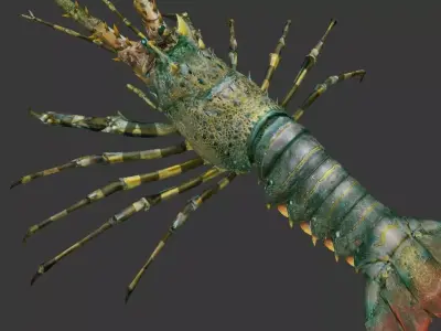 lobster    Australian lobster Low-poly 3D model