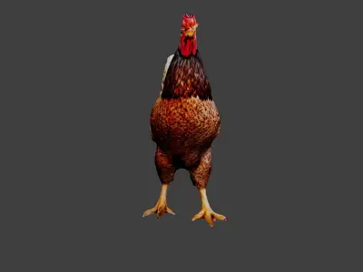 Chicken  Low-poly 3D model purchase
