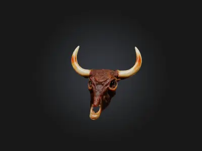 Oxtail Model Low-poly 3D model