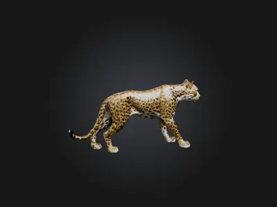 Realistic Leopard Model Low-poly 3D model