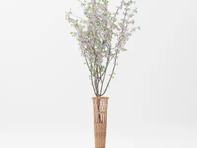 Basket Vase and Sakura Flower Free 3D model