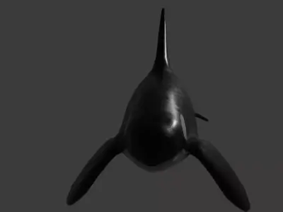 Orca wheel Rig Optimize game ready for unreal and unity Low-poly 3D model