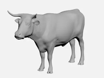 Ox-wild animals 3D model
