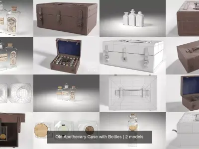 Old Apothecary Case with Bottles 3D Model Pack