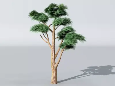Cartoon tree 3D model by lzhgege from CGTrader