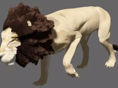 Lion With Basic Rigged 3D model