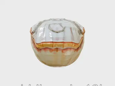 Vibrant Giant Clam Shell Model with Detailed Texture Low-poly 3D model