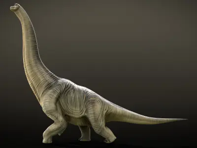 Brachiosaurus Dinosaur Rig and Animations Low-poly 3D model