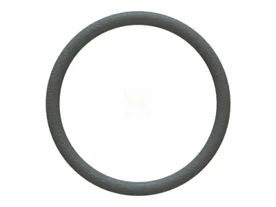 O Ring Vedabras 12432 3D model