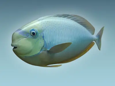 Pale Fish 3D model