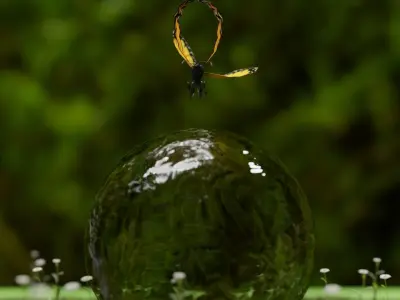 Butterfly sitting on water bubble 3d view Low-poly 3D model