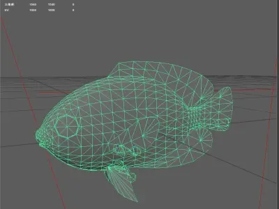 Bass fish Low-poly 3D model 10