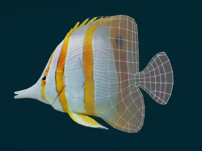 Coral Reef Fish Collection Animated - Game Ready pack 1 Low-poly 3D model