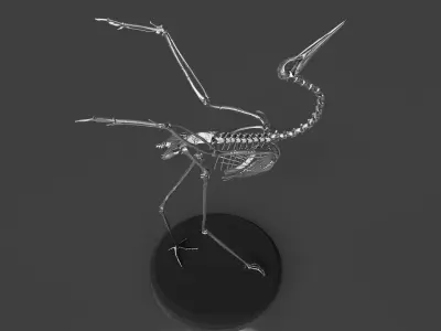 Silver Crane Skeleton  3D model