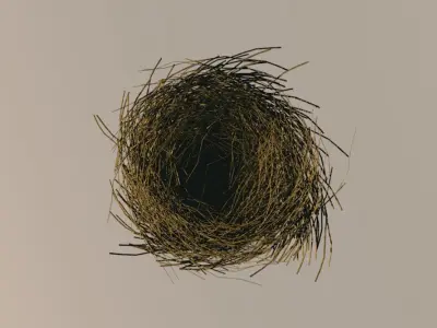 Bird Nest 3D model 4