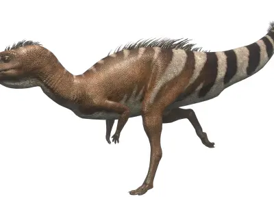 Dryosaurus Asset Pack Low-poly 3D model