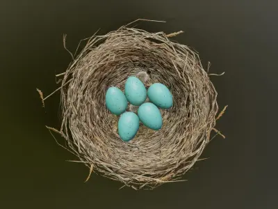 Bird Nest 3D model 3