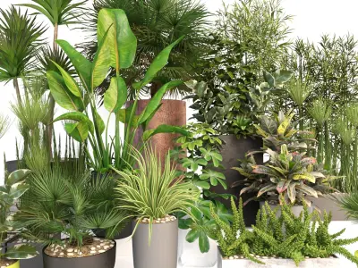 Plants 19 3D model