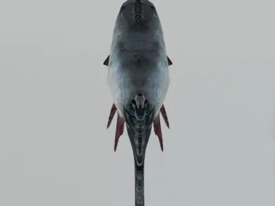 Bocachico fish Low-poly 3D model