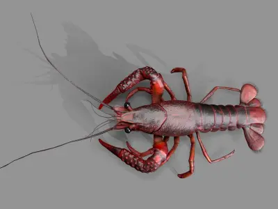 Lobster Rigged for 3Dmax Low-poly 3D model