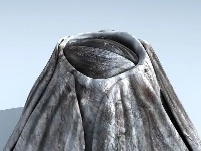 Adult Barnacle Balanus Low-poly 3D model