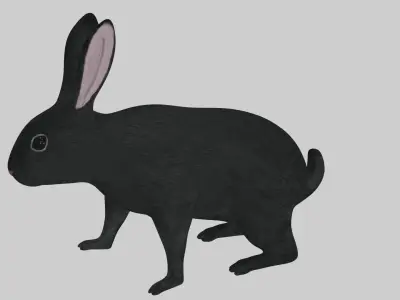 Black Rabbit low poly rigged Low-poly 3D model