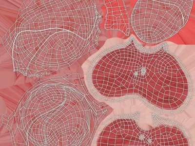  Lungs Cross Section Separated 