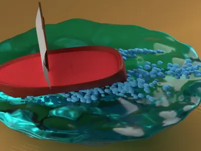 Boat on sea animation 3D model