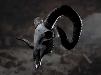 Goat Skull 3D model