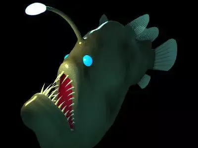 Angler Fish 3D model buy