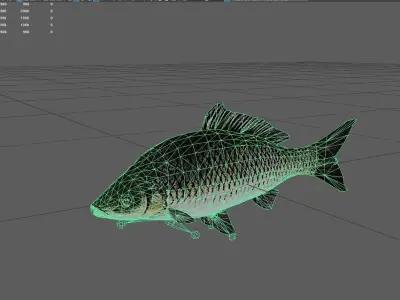 Carp fish Low-poly 3D model