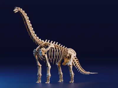 Realistic Ancient Reptilians Fossil - Brachiosaurus Low-poly 3D model