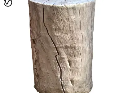 tree truck 16 3D model