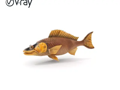 Realistic Fish Model Pack for Aquatic Environments Low-poly 3D model
