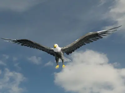 Eagle Model Game Ready flying in sky Low-poly 3D model