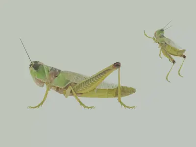 Grasshopper 3D model 2
