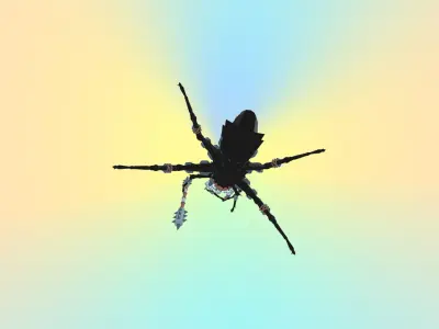 Spider Guard 3D model