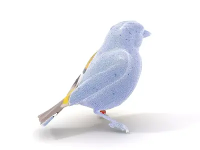 Vivid Finch Bird model pack Low-poly 3D model